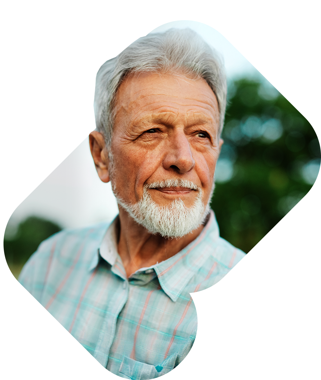 O que são Seguros de Vida?  